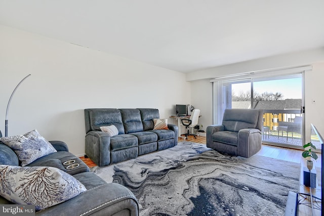 living room featuring light hardwood / wood-style flooring