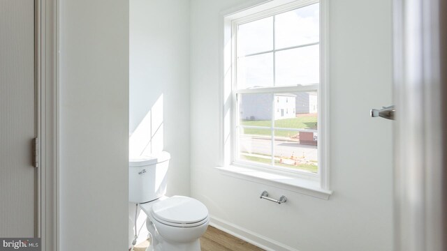 bathroom featuring wood-type flooring and toilet