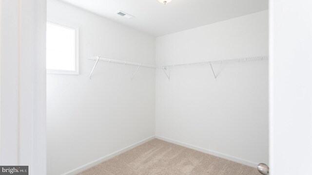 walk in closet featuring light colored carpet