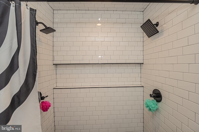 room details with a shower with shower curtain