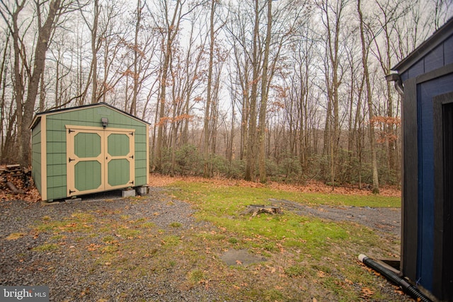 view of yard with a storage shed