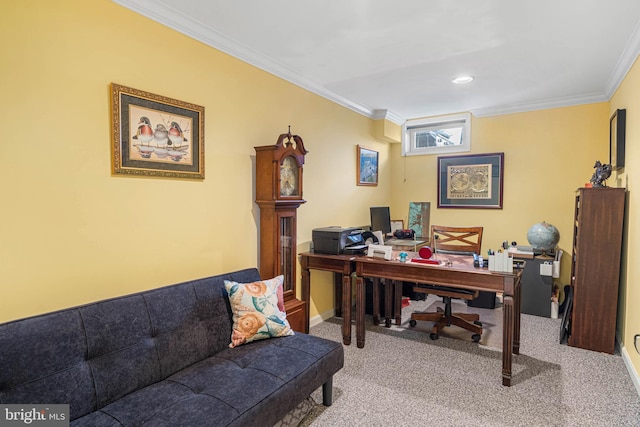 home office featuring carpet flooring and crown molding