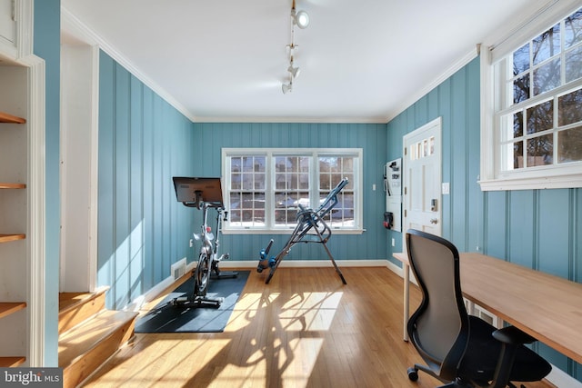 office featuring plenty of natural light, light hardwood / wood-style floors, and ornamental molding