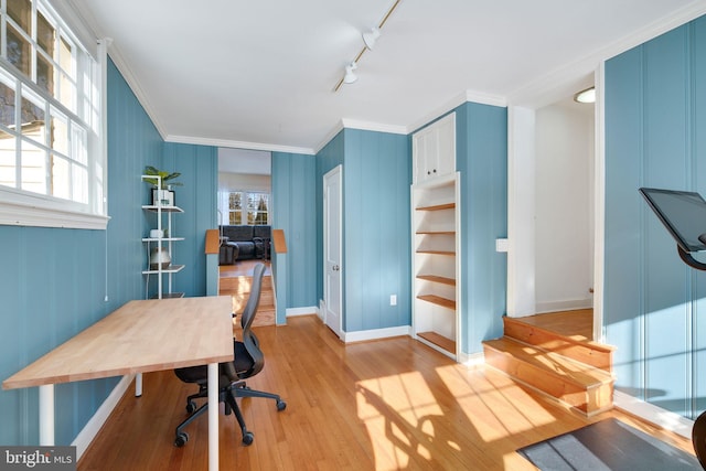 office area featuring light hardwood / wood-style floors, track lighting, and crown molding