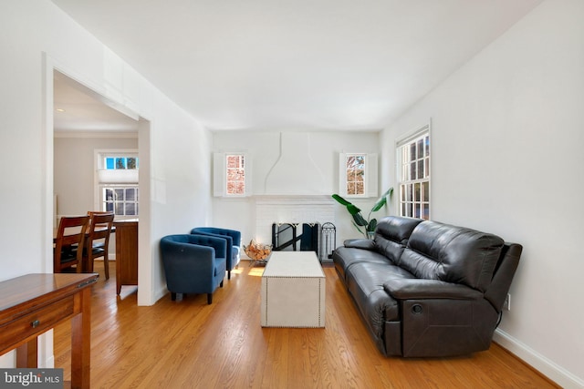 living room with a fireplace and light hardwood / wood-style floors