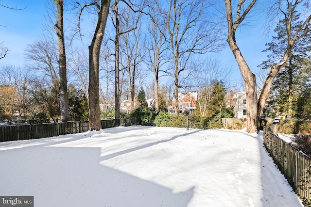 view of yard covered in snow