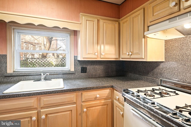 kitchen featuring tasteful backsplash, sink, and white range with gas stovetop