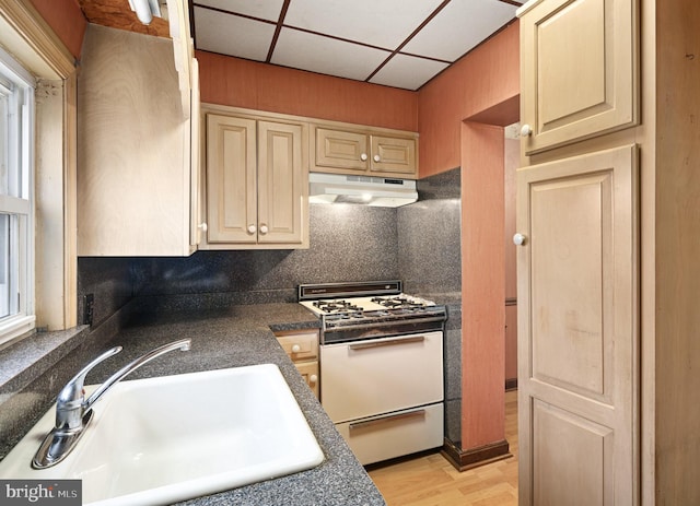 kitchen featuring sink, white gas stove, a drop ceiling, and light hardwood / wood-style flooring