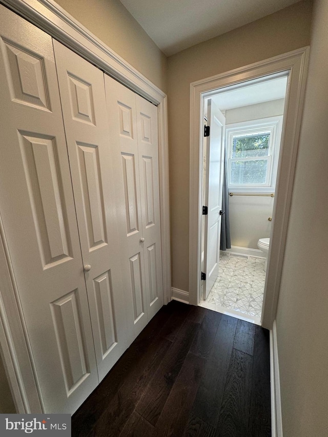 hallway featuring dark wood-type flooring