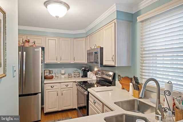 kitchen with stainless steel appliances, ornamental molding, plenty of natural light, and sink