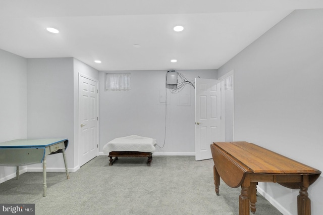 sitting room with light carpet