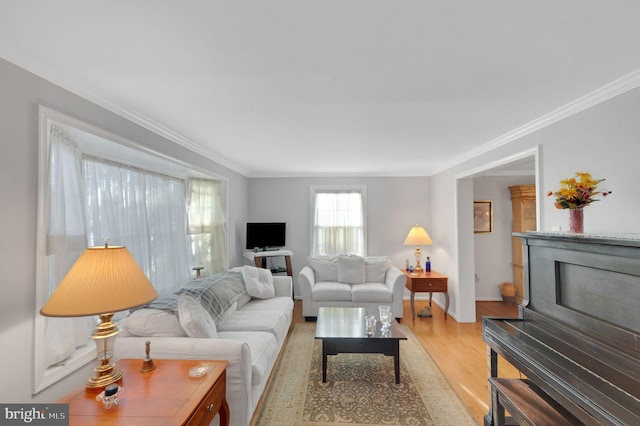 living room with crown molding and light wood-type flooring