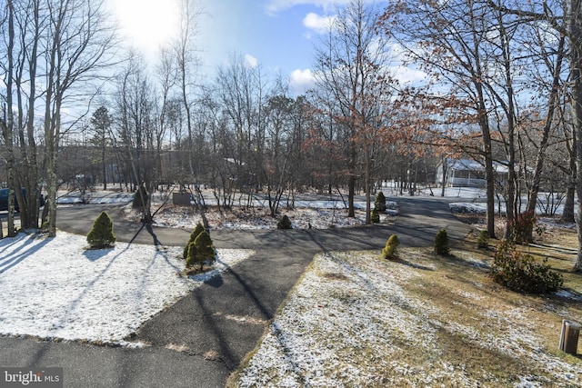 view of snowy yard