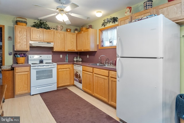 kitchen featuring white appliances, sink, ceiling fan, light wood-type flooring, and light brown cabinetry