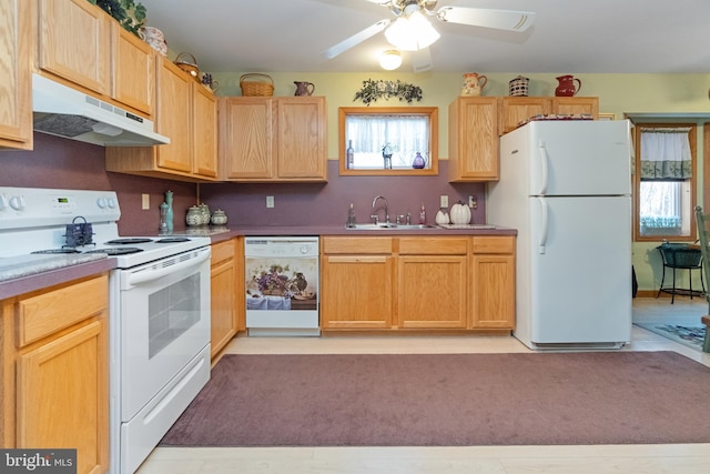 kitchen featuring ceiling fan, sink, a healthy amount of sunlight, and white appliances