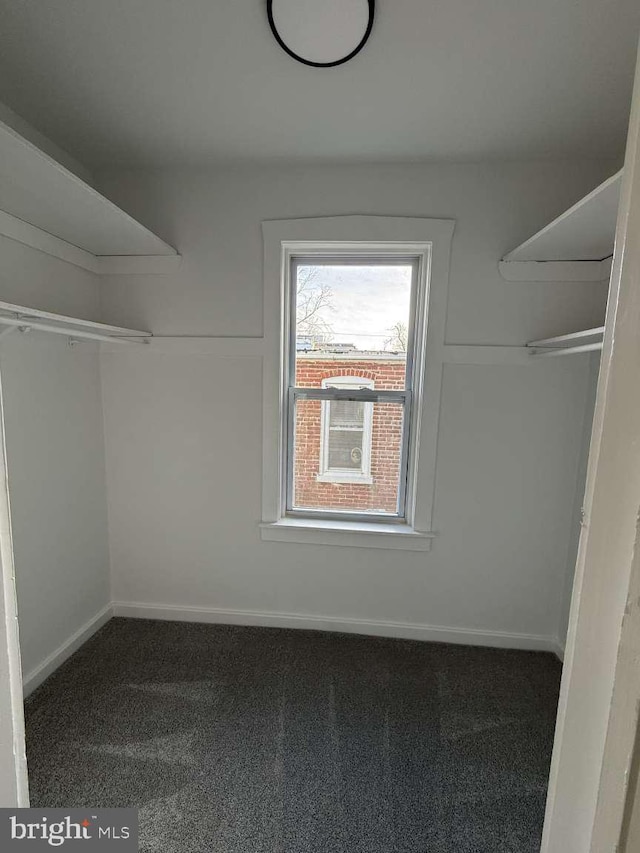 walk in closet with carpet