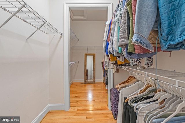 spacious closet featuring hardwood / wood-style floors