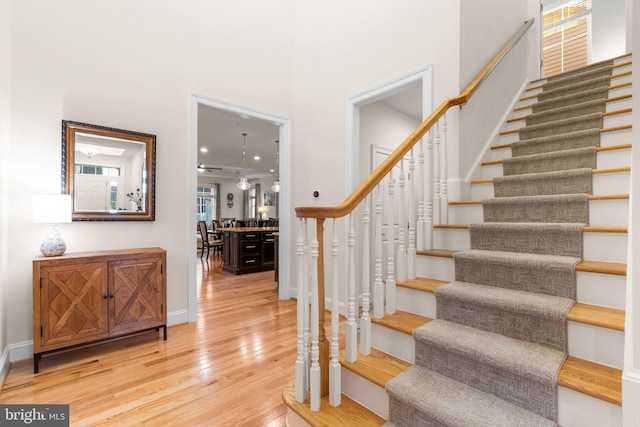 staircase featuring ceiling fan and hardwood / wood-style flooring