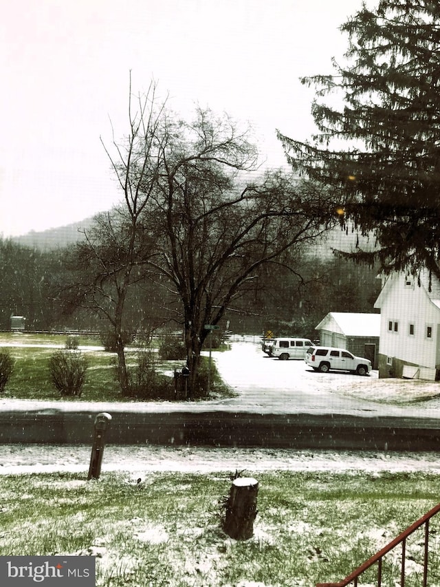 view of snowy yard