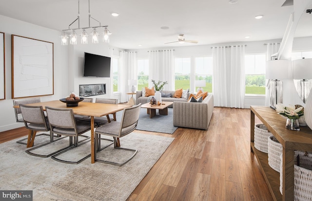 living room with light hardwood / wood-style flooring and ceiling fan