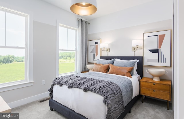 bedroom with carpet flooring and multiple windows