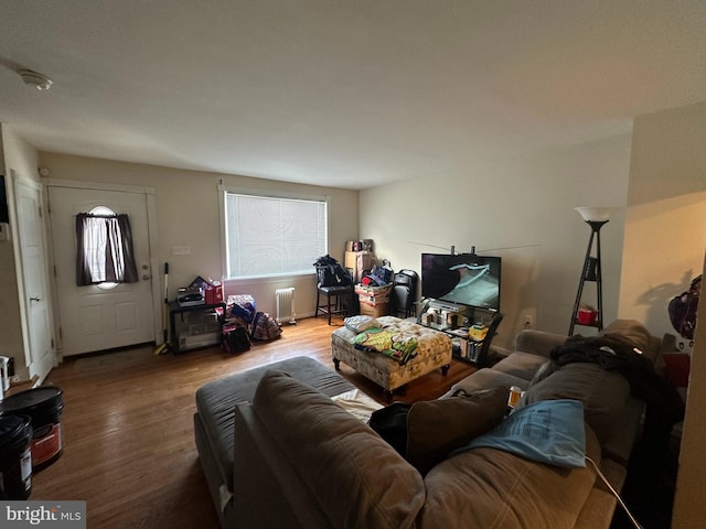 living room featuring radiator and wood-type flooring