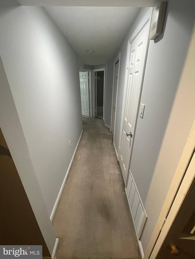 corridor featuring carpet floors