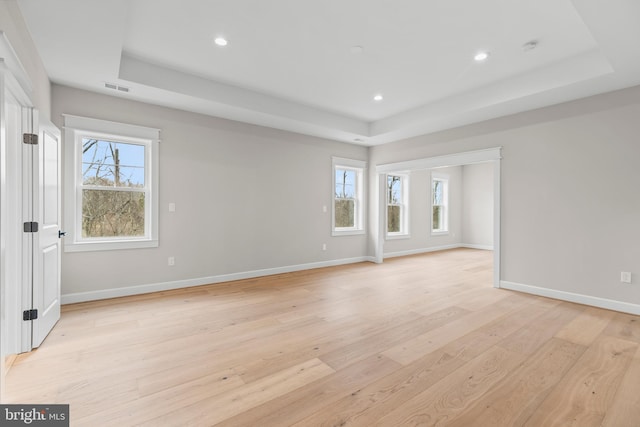 unfurnished room featuring a healthy amount of sunlight, a raised ceiling, and light wood-type flooring