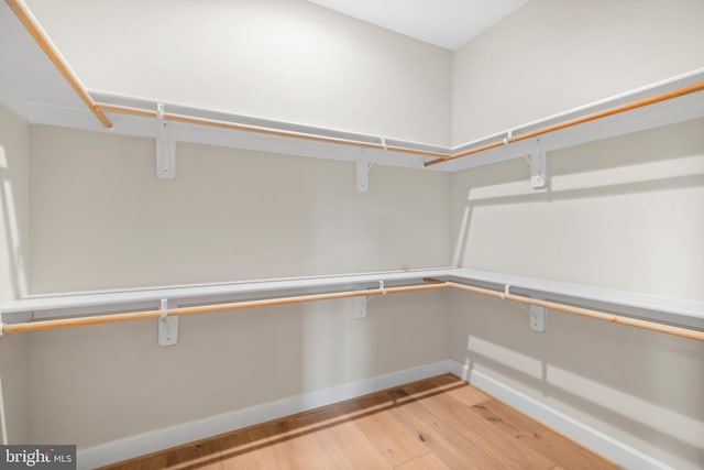 walk in closet featuring light hardwood / wood-style flooring