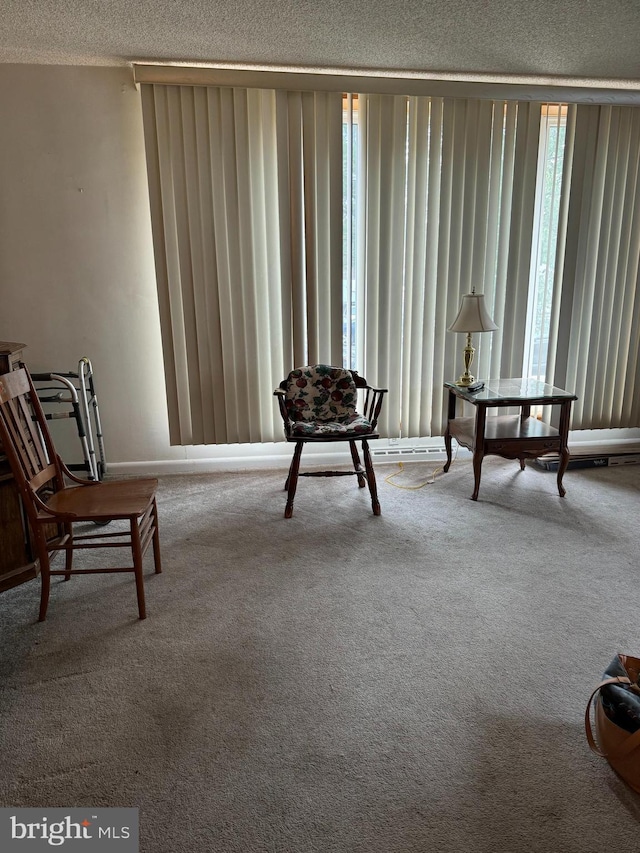 living area with carpet floors and a textured ceiling