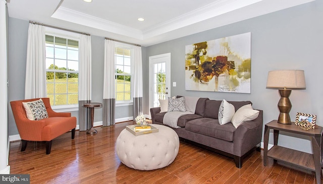 living room featuring a tray ceiling, crown molding, and wood-type flooring