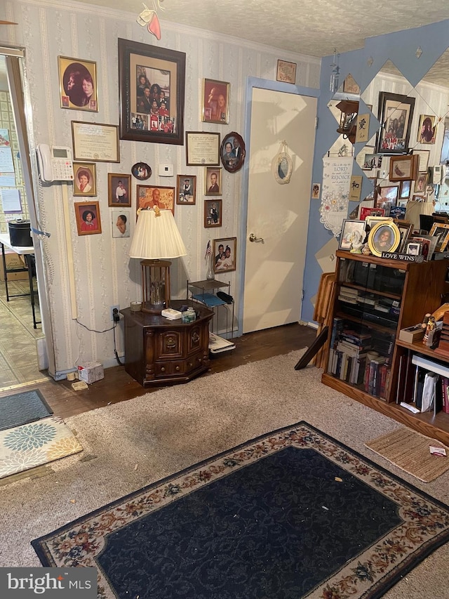 interior space featuring carpet and a textured ceiling