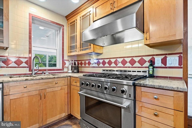 kitchen featuring dark hardwood / wood-style flooring, tasteful backsplash, light stone counters, stainless steel appliances, and sink