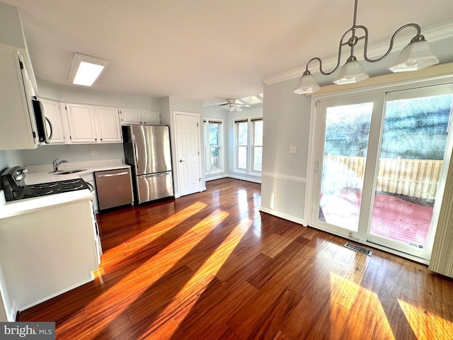 kitchen featuring pendant lighting, stainless steel appliances, plenty of natural light, and dark wood-type flooring