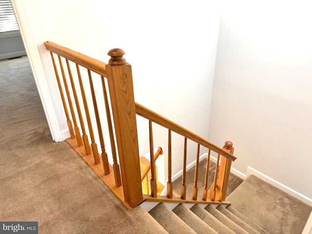 staircase featuring carpet flooring