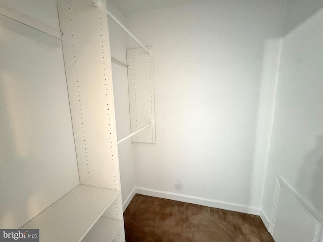 spacious closet featuring carpet floors