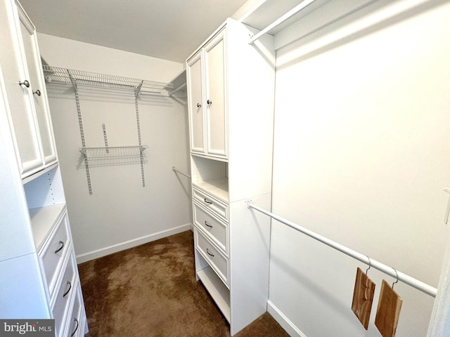 walk in closet featuring dark carpet