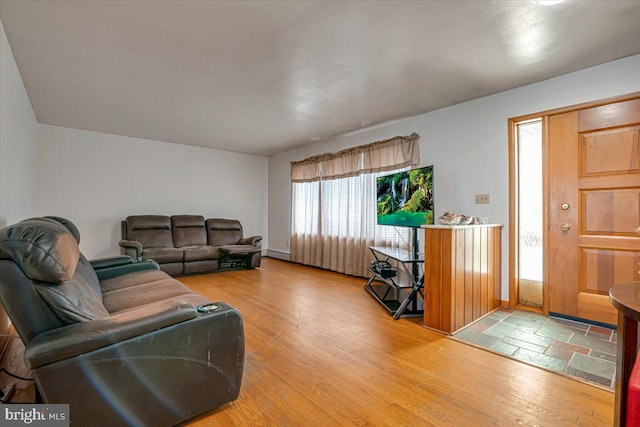 living room featuring wood-type flooring