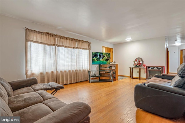 living room with hardwood / wood-style flooring