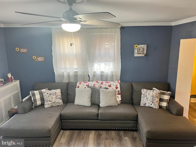 living room featuring hardwood / wood-style floors, ceiling fan, and ornamental molding