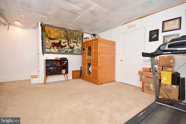 exercise room featuring carpet flooring