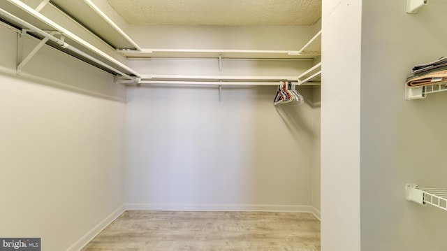 spacious closet featuring light wood-type flooring