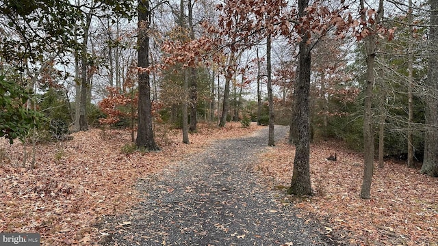 view of road