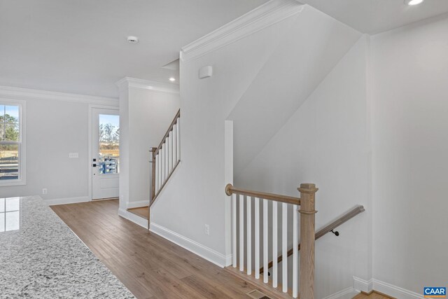 interior space featuring hardwood / wood-style floors and ornamental molding