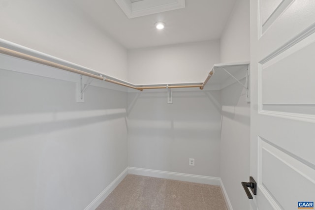 walk in closet with carpet