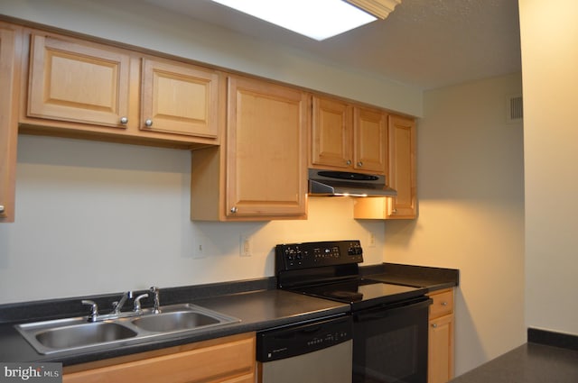 kitchen featuring stainless steel dishwasher, electric stove, and sink