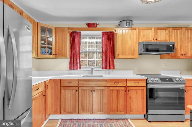 kitchen featuring light wood-type flooring, sink, and appliances with stainless steel finishes