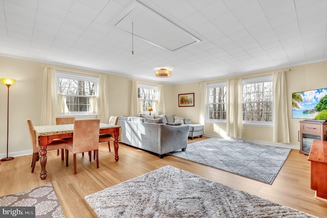 living room featuring ornamental molding and light hardwood / wood-style flooring