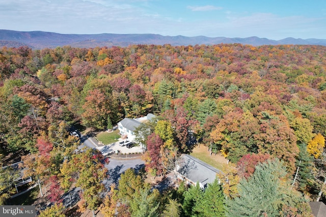 birds eye view of property with a mountain view