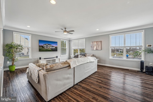 living room with ceiling fan, plenty of natural light, dark wood-type flooring, and ornamental molding